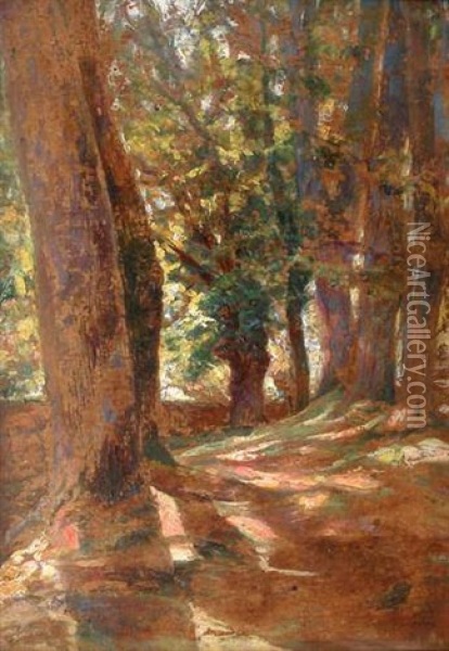 Le Sous Bois Oil Painting - Victor Charreton