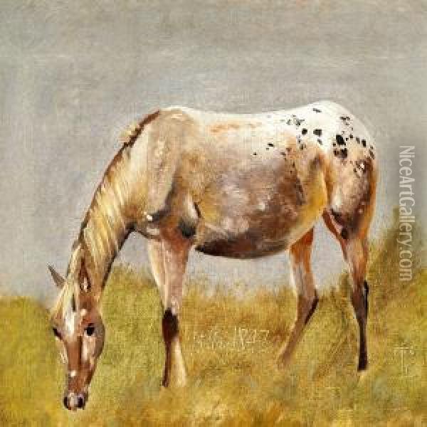 Study Of A Horse Oil Painting - Johan Thomas Lundbye