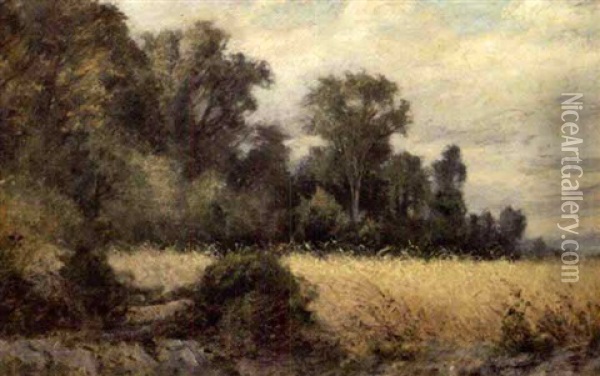 Golden Meadow Oil Painting - Albert Babb Insley