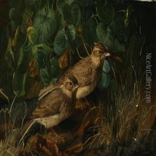Two Larks In Aforest Floor Oil Painting - Niels Peter Rasmussen