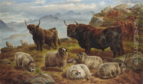 Highland Cattle And Sheep Grazing Oil Painting - Charles Jones