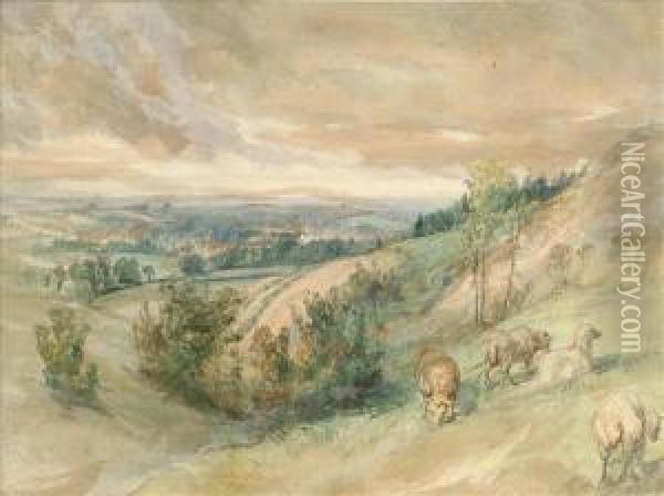 Landscape With Foreground Sheep Oil Painting - Edward Hargitt