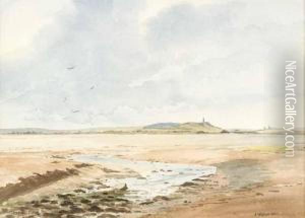 Scrabo Across Strangford Lough Oil Painting - John B. Wilkinson