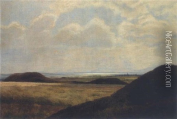 Weite Landschaft Oil Painting - Hans Mortensen Agersnap