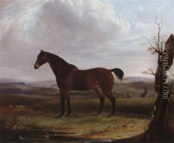 A Bay Hunter In An Extensive Landscape Oil Painting - James Barenger the Younger