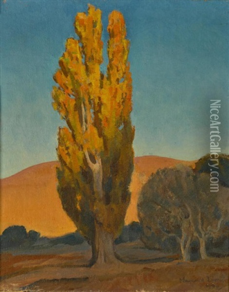Shifting Light On A Poplar Oil Painting - Maynard Dixon