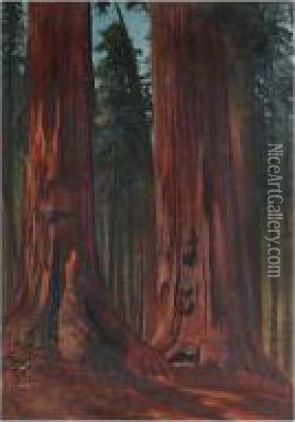 Redwoods Oil Painting - Gilbert Davis Munger