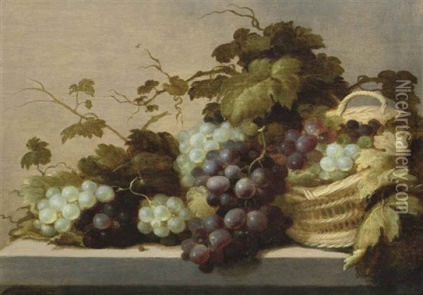 Black And White Grapes, Partly In A Wicker Basket, All On A Stone Ledge Oil Painting - Roelof Koets the Elder