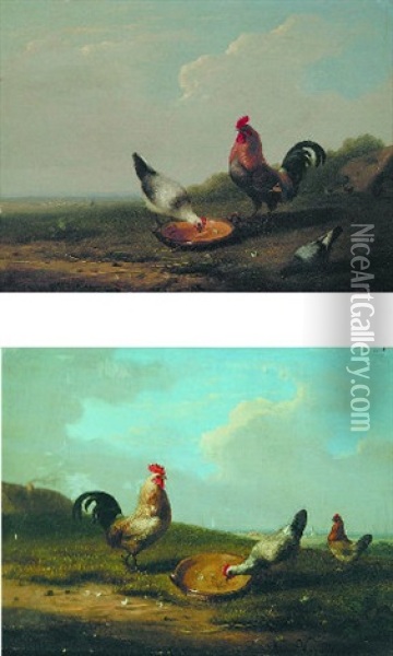Cocks And Hens Oil Painting - Joseph Van Severdonck