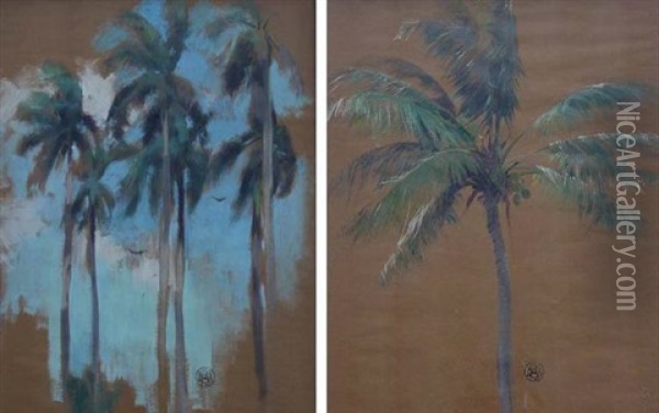 Sketch Of Palm Trees Oil Painting - Willard Leroy Metcalf