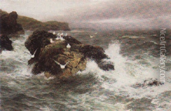 The Sea Bird's Resting Place Oil Painting - Peter Graham