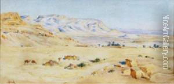 Le Desert Oil Painting - Alphonse Birck