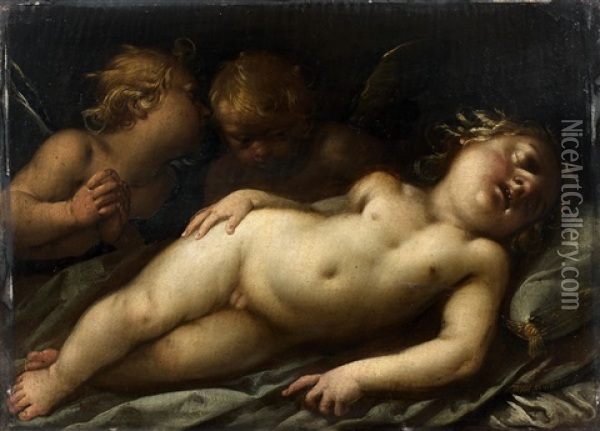 Le Christ Enfant Endormi Veille Par Deux Anges Oil Painting - Giovanni Stefano Danedi