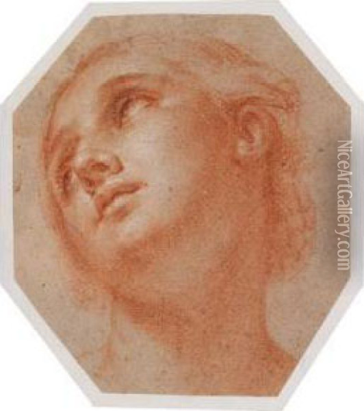 Portrat Einer Jungen Frau Oil Painting - Francesco Vanni