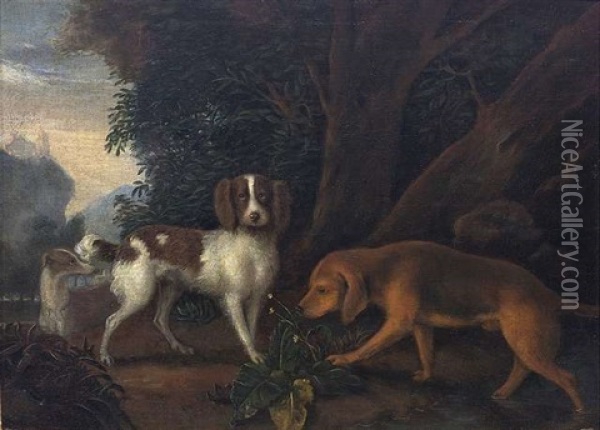 Drei Jagdhunde Rasten Auf Einer Waldlichtung Oil Painting - Adriaen Cornelisz Beeldemaker