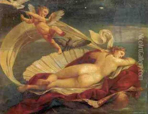 Venus Reclining On A Shell Oil Painting - Andrea, the Elder Appiani