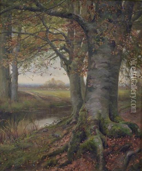 Study Of A Tree Oil Painting - John MacWhirter