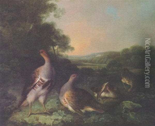 English Partridge In A Landscape Oil Painting - Stephen Elmer