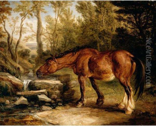 A Horse Drinking At A Stream Oil Painting - James Ward