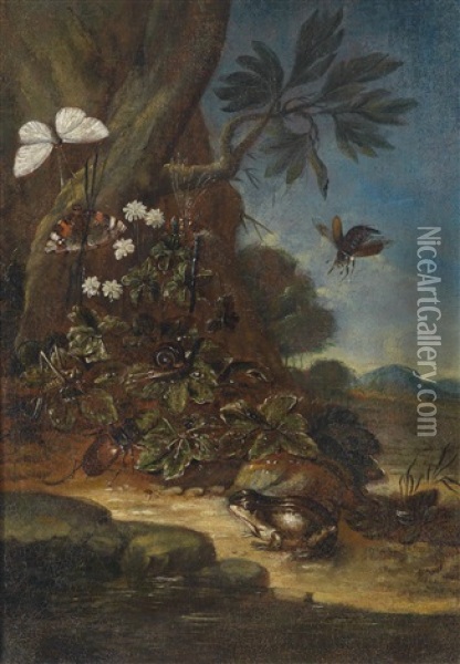 Waldesgrundstillleben Mit Einem Frosch, Einem Schmetterling Und Insekten Oil Painting - Franz Michael Sigmund von Purgau