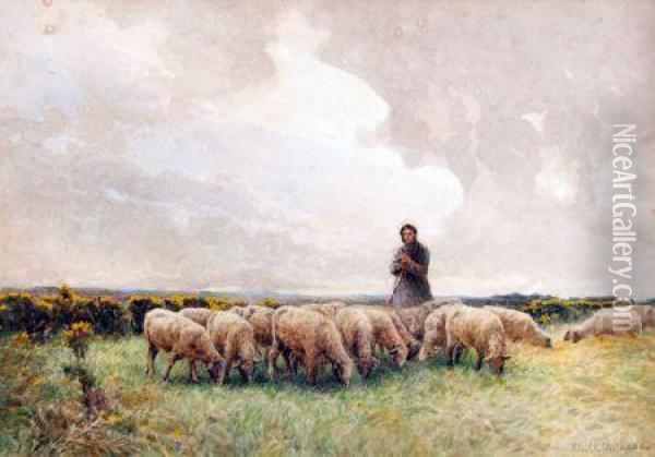 Shepherd And Sheep Grazing Oil Painting - Miller Smith