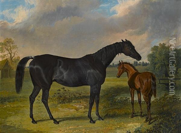 Pipylina And Foal Oil Painting - John Frederick Herring Snr