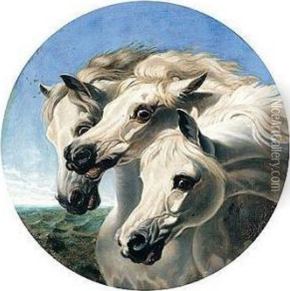 Pharaoh's Horses Oil Painting - John Frederick Herring Snr