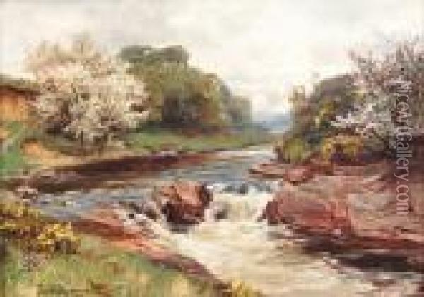 Blossom By The River Oil Painting - David Farquharson