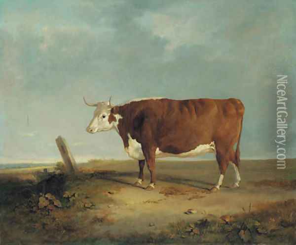 A longhorn cow in a landscape Oil Painting - Thomas Woodward