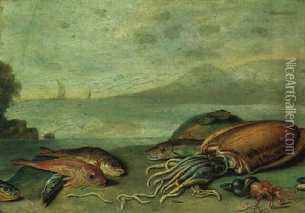 Still Life Of Fish On A Seashore Oil Painting - Jan van Kessel the Elder
