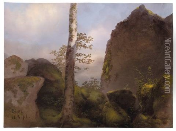 Baum Zwischen Felsen Oil Painting - Jakob Hoffmann