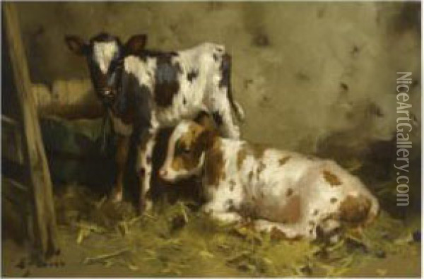 Ayrshire Calves Oil Painting - David Gauld
