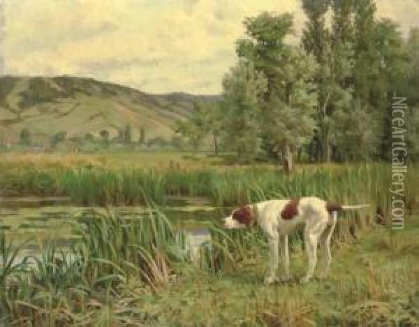 A Pointer Marking Wildfowl In The Reeds Oil Painting - Percival Leonard Rosseau