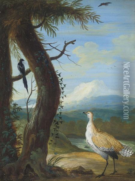 Woodpecker In An Exotic Landscape Oil Painting - Christophe-Ludwig Agricola