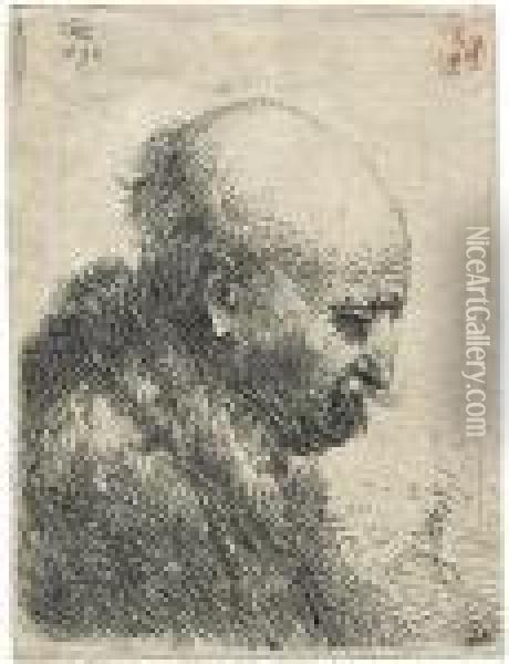 Kahlkopf, Nach Rechts Gewendet Oil Painting - Rembrandt Van Rijn