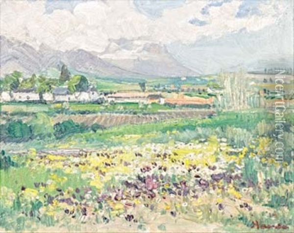 Spring Landscape Oil Painting - Pieter Hugo Naude