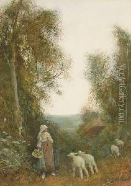 Lambs On A Rural Path Oil Painting - Fred Hines