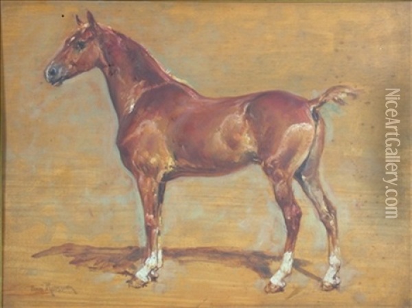Equine Study Oil Painting - Henri Emilien Rousseau