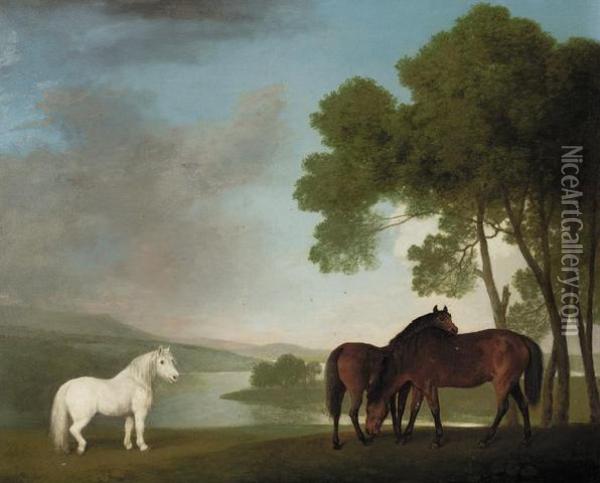 Two Bay Mares And A Grey Pony In A Landscape Oil Painting - George Stubbs