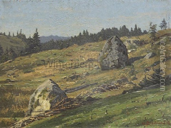 Steiniger Hang Am Feldberg Oil Painting - Hermann Dischler