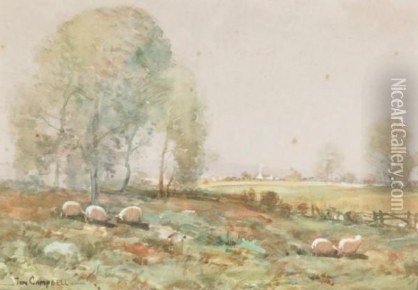 Sheepin Extensive Landscape Oil Painting - Thomas, Tom Campbell