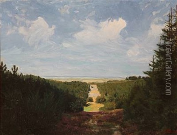 View From Svanninge Bakker, Denmark Oil Painting - Jens Birkholm