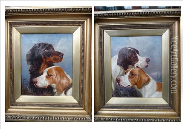 Gordon Setter And A Red And White Setter (+ Two Pointers; Pair) Oil Painting - Colin Graeme