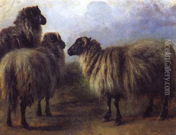 Moutons Ecossais Oil Painting - Rosa Bonheur
