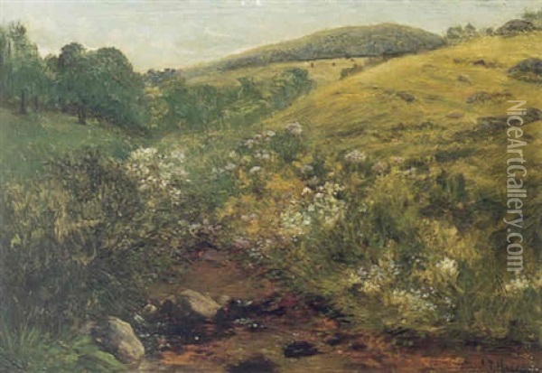 Wildflowers Near A Valley Stream Oil Painting - Sylvester Phelps Hodgdon