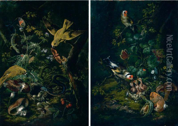 A Forest Floor Still Life With Goldfinches Feeding Their Chicks Oil Painting - Johann Baptist Halszel