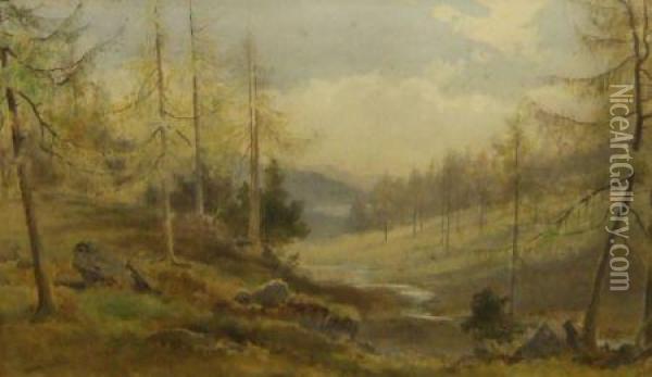 A Mountain Glen With Pine Trees Oil Painting - Edward Arden