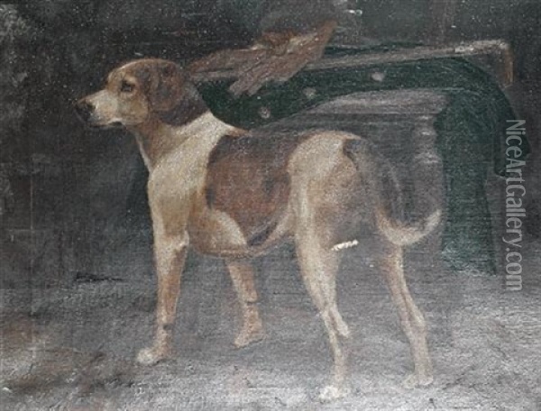 A Foxhound In An Interior Oil Painting - William Osborne