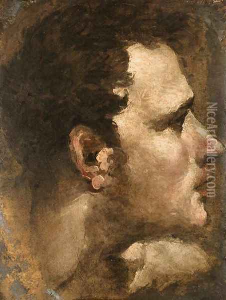 Head of a Youth Seen in Profile Oil Painting - Domenico Beccafumi