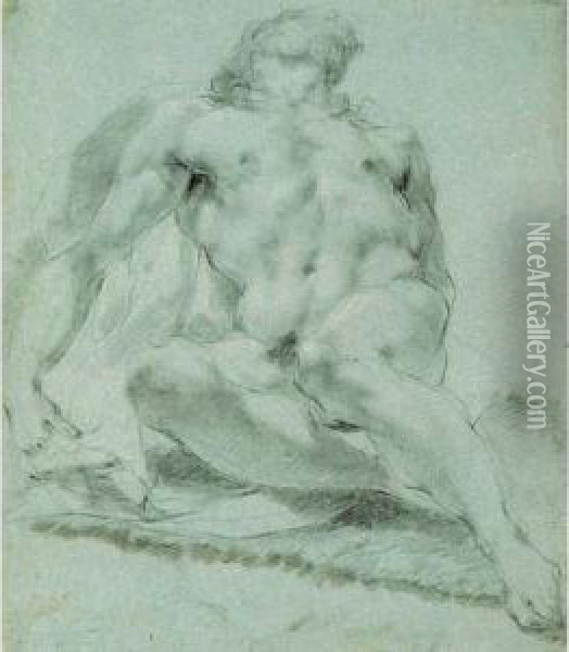 Male Nude Oil Painting - Andrea Sacchi